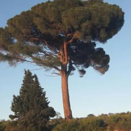 Appartamento Jadranka Brzac