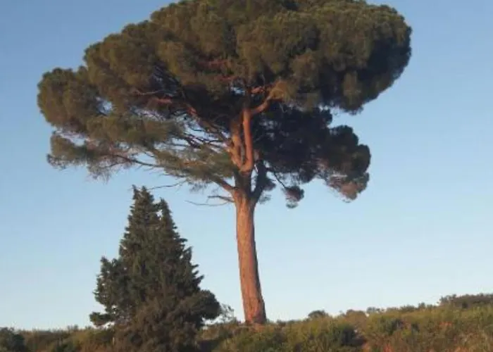 شقة Jadranka Brzac